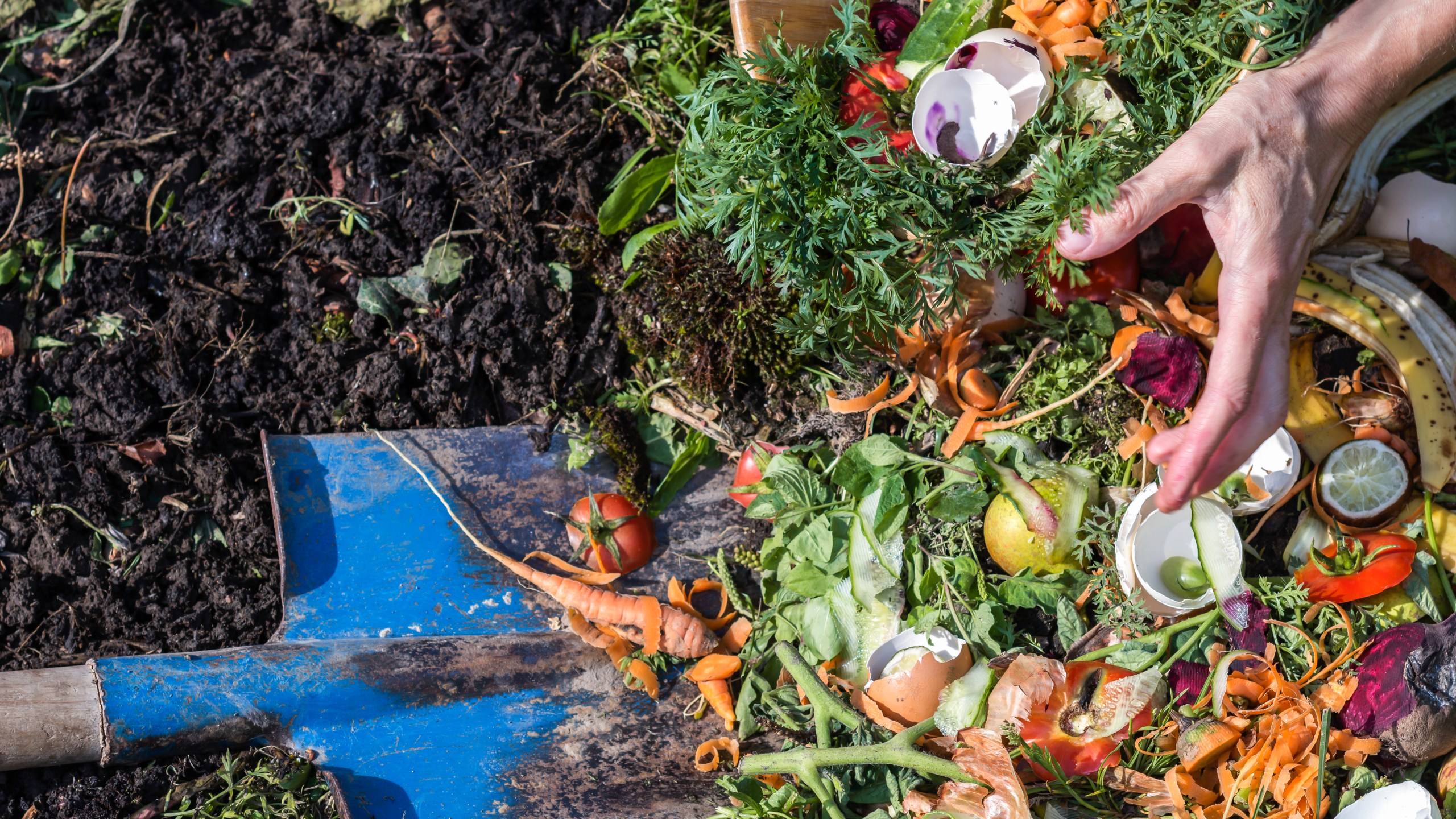 sustainable gardening