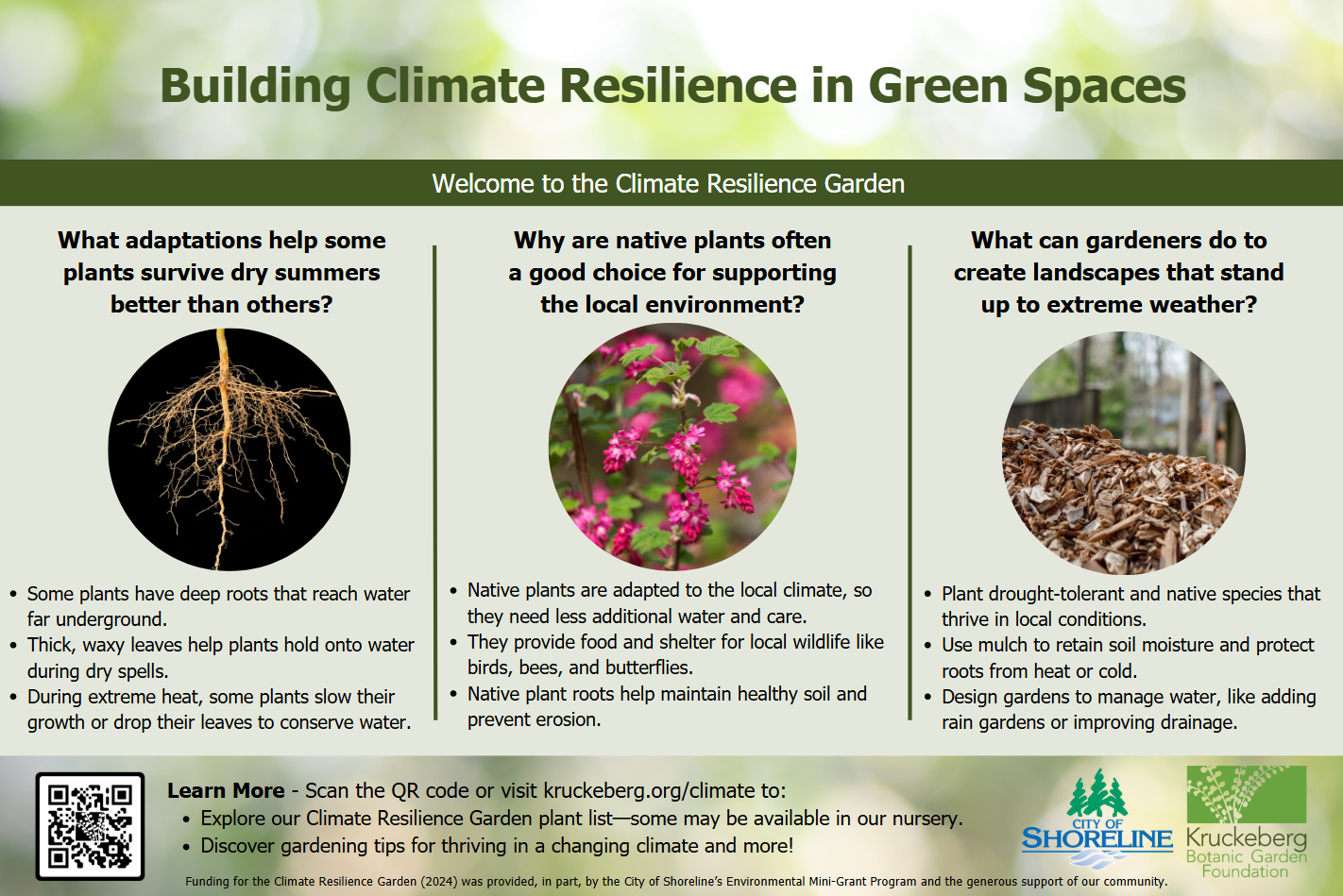 2026's Top 15 Native Plants That Create Climate-Resilient Wildlife Habitats in Your Backyard