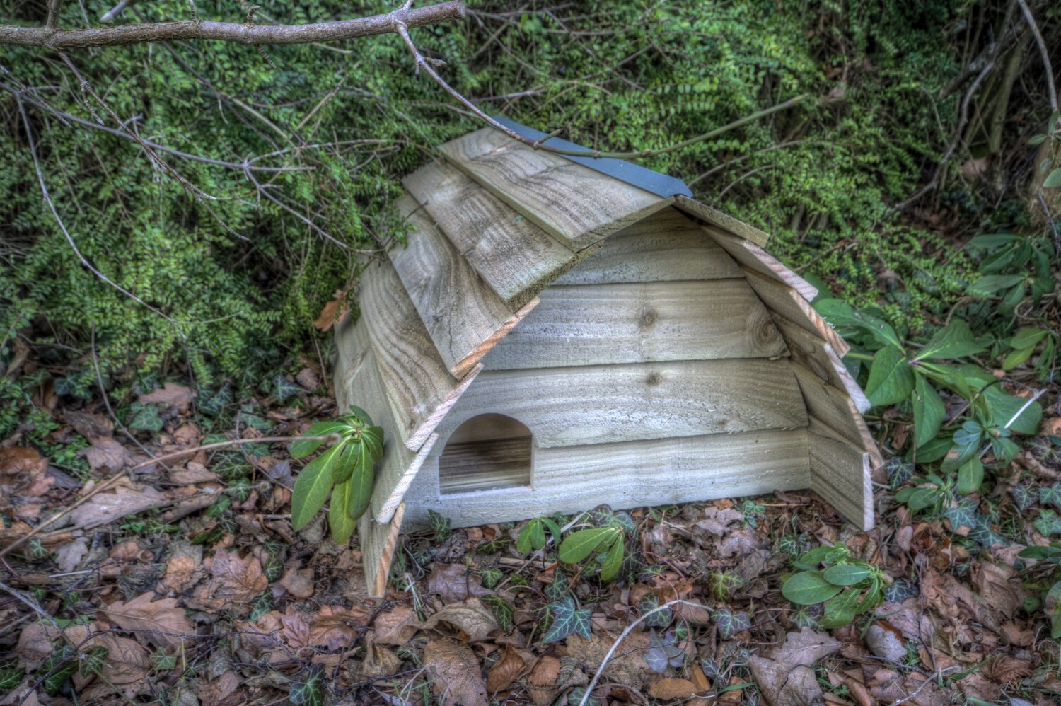 hedgehog house in garden