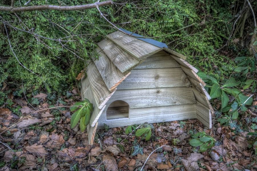 hedgehog house in garden