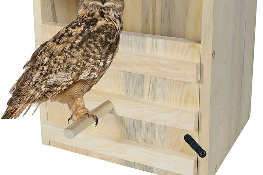 owl nesting box in garden