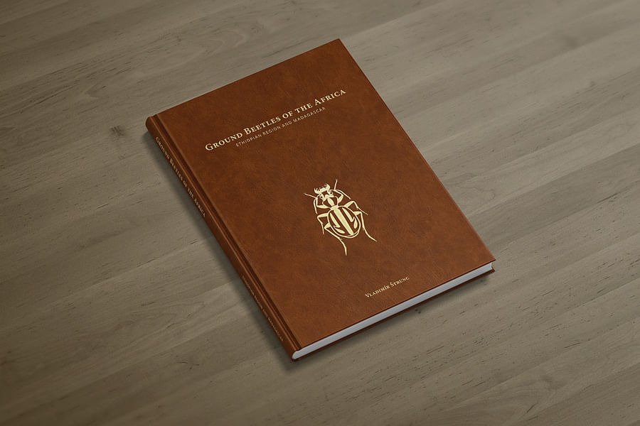 Ground Beetles near ground cover