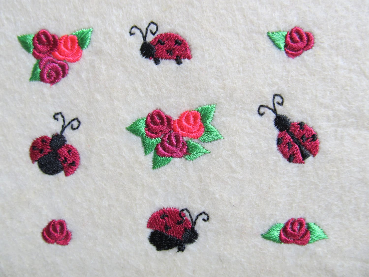 Ladybugs on roses
