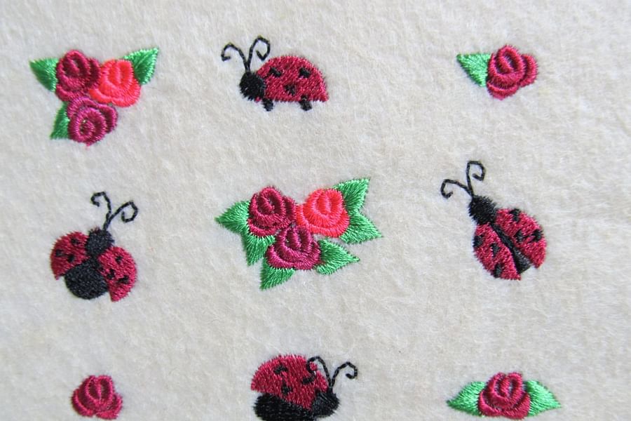 Ladybugs on roses