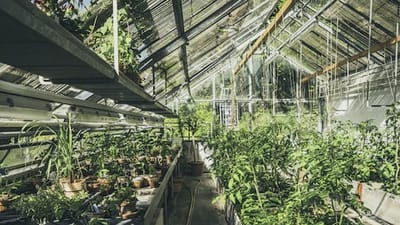 Best Practices for Organic Gardening to Support Wildlife