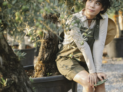 Bird-Attracting Plants for Shade: How to Create a Lush, Bird-Friendly Habitat