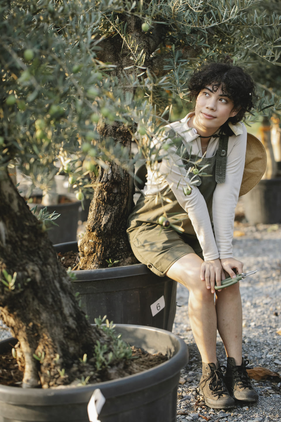 Bird-Attracting Plants for Shade: How to Create a Lush, Bird-Friendly Habitat