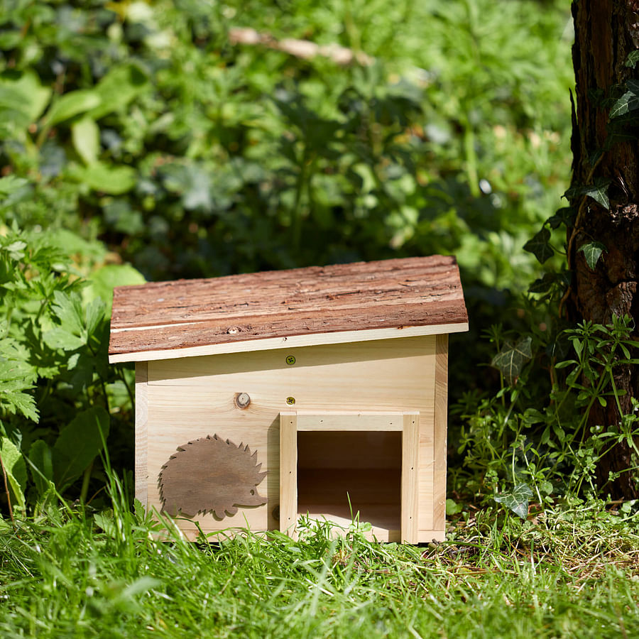 A cozy hedgehog house nestled among green plants in a garden