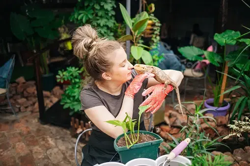 Organic Gardening for Wildlife: Tips and Tricks for a Sustainable Garden