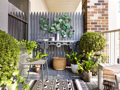 Potted Plants That Attract Birds: Perfect Solutions for Small Spaces and Balconies