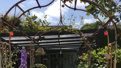 The Complete Guide to Building a Hedgehog-Paradise in Your Backyard