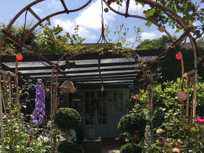 The Complete Guide to Building a Hedgehog-Paradise in Your Backyard