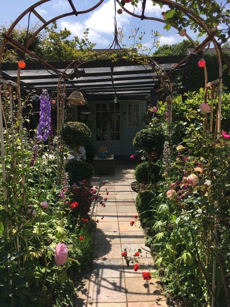 The Complete Guide to Building a Hedgehog-Paradise in Your Backyard