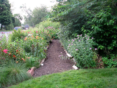 The Importance of Sustainable Gardening for Wildlife: Long-Term Benefits and Tips