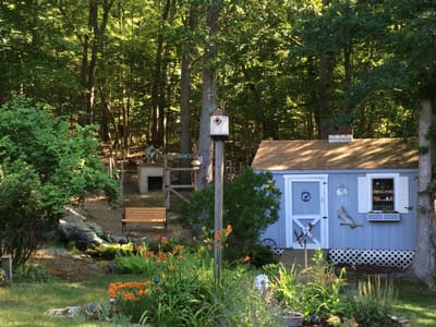 The Ultimate Guide to Bird-Friendly Landscaping: Planning, Planting, and Maintenance