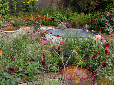 Top Sustainable Garden Design Ideas for an Eco-Friendly and Attractive Backyard