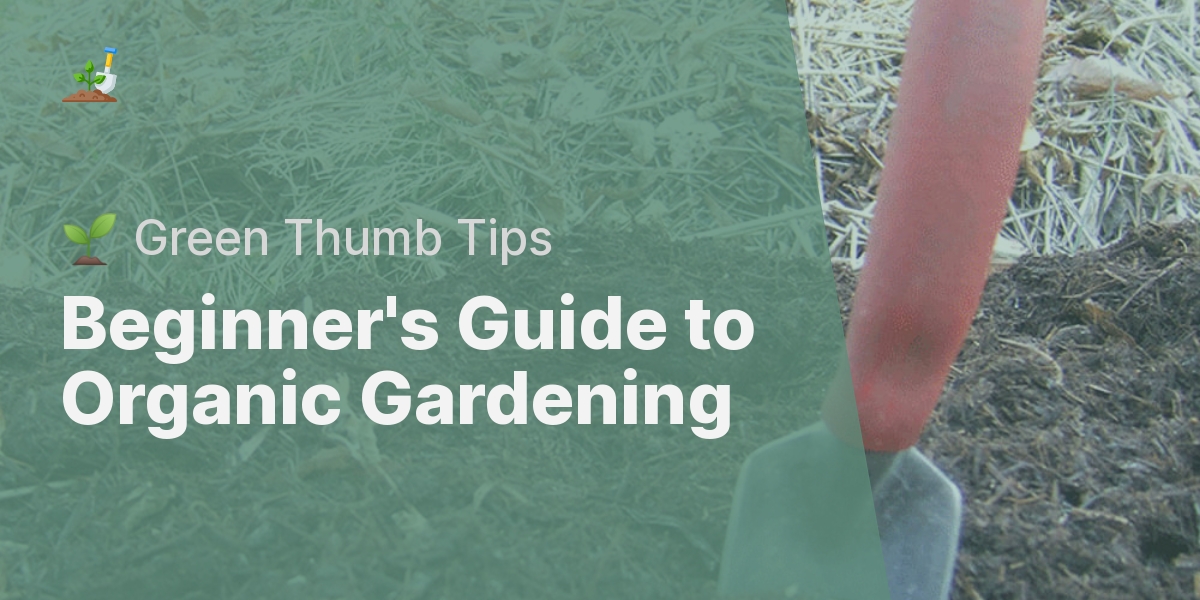 Beginner's Guide to Organic Gardening - 🌱 Green Thumb Tips