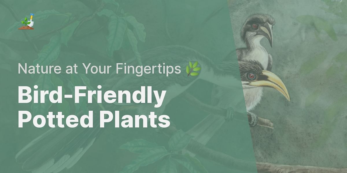 Potted Plants That Attract Birds Perfect Solutions for Small Spaces