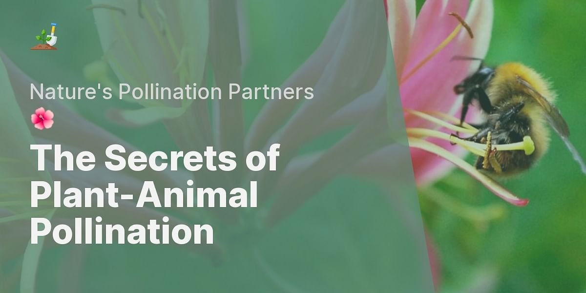 How do plants attract and use animals for pollination?