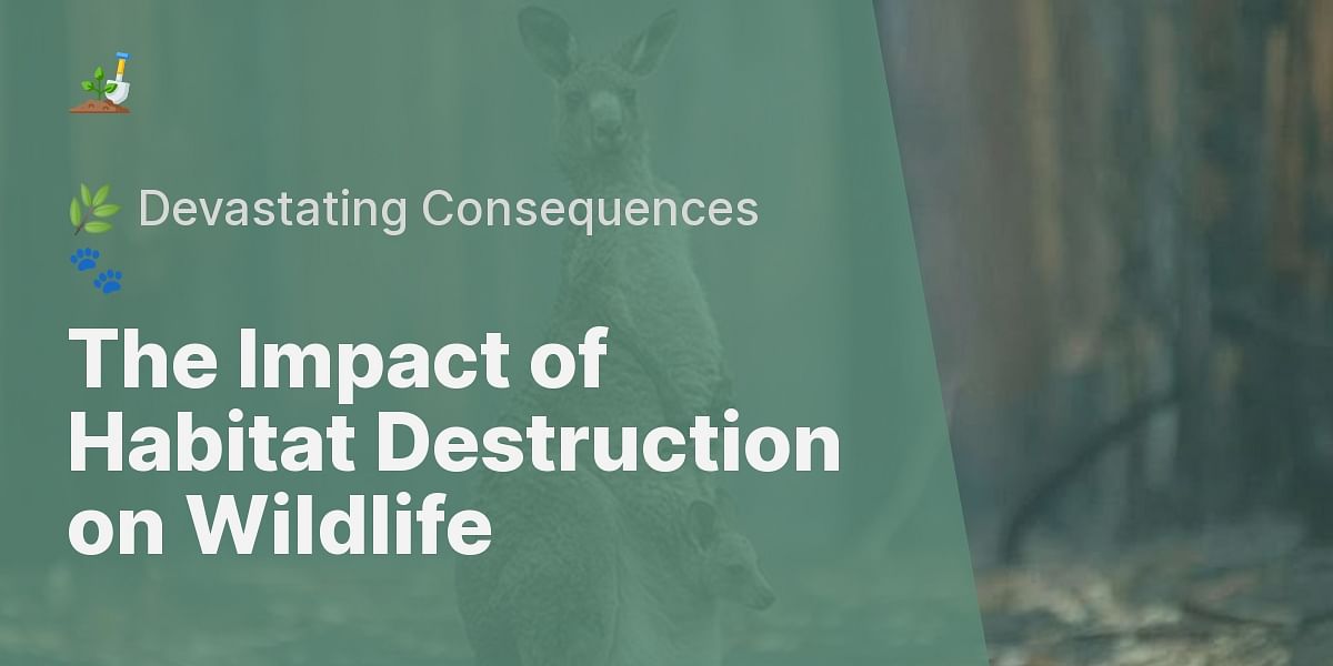 How does habitat destruction affect wildlife? Biology Diagrams