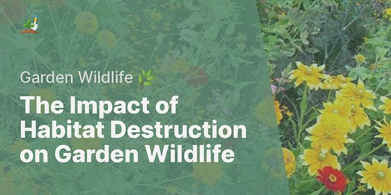 How does habitat destruction affect wildlife in my garden Biology Diagrams