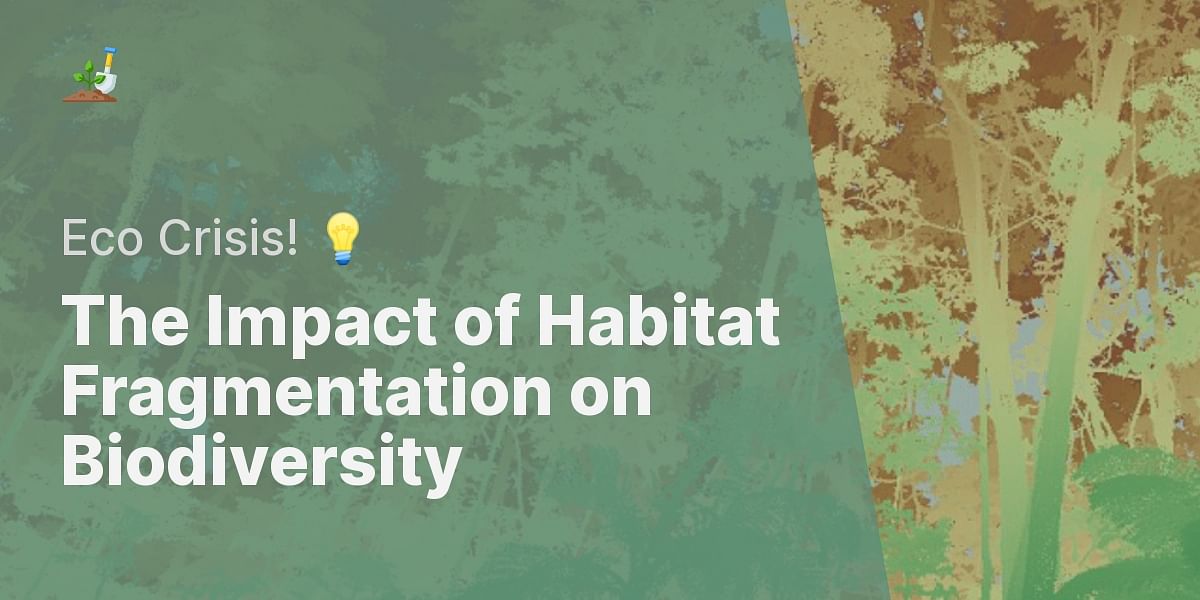 How does habitat fragmentation affect biodiversity? Biology Diagrams