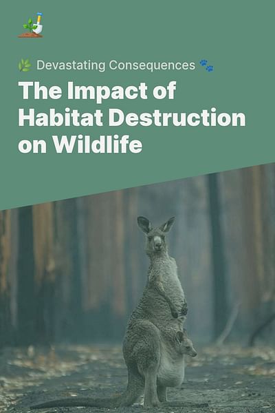How does habitat destruction affect wildlife? Biology Diagrams